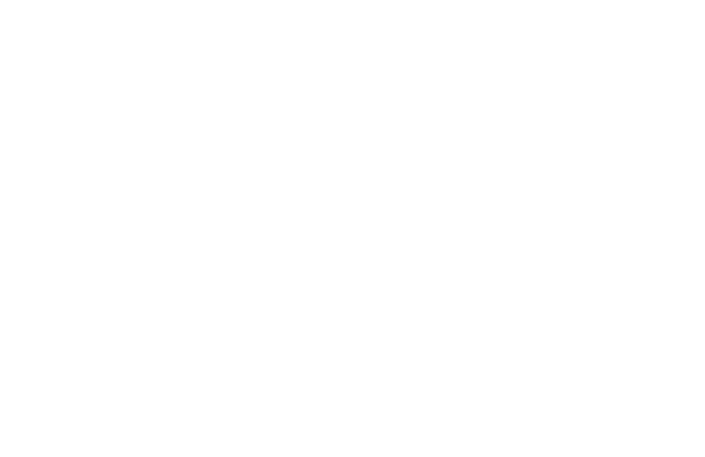 logo Baribal blanc